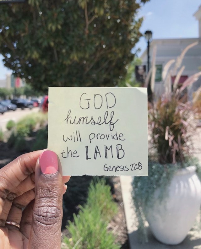 Processed with VSCO with a8 preset