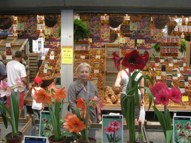 SLL flower market at Amsterdam